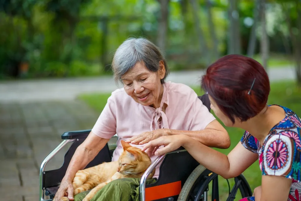 benefits of pet therapy for the elderly